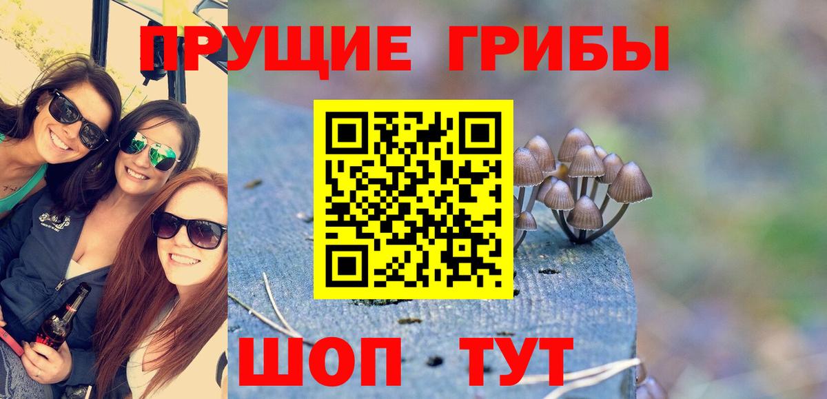 сколько стоит  Вход с VPN  Боровичи  Галлюциногенные грибы GOLDEN TEACHER 